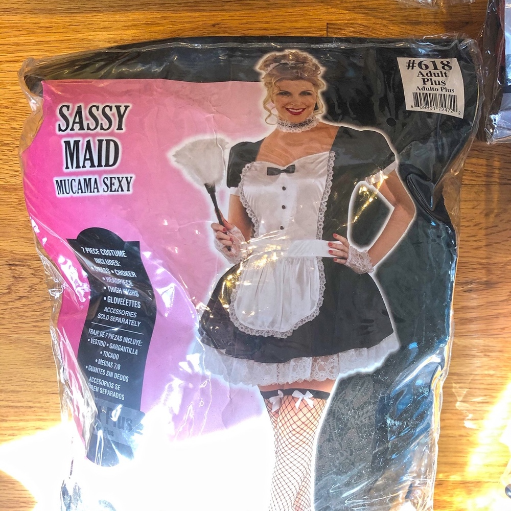 Worn Once Sassy Maid Costume